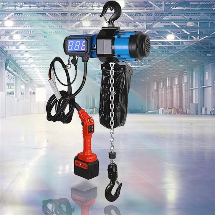 1000kg 1600W 12m Electric Scaffold Winch Hoist factory